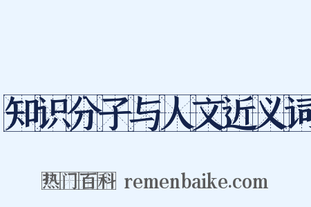 知识分子与人文近义词是什么意思的图片